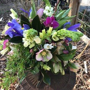 Meet your Posher, Pam